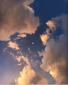 Profile picture of Winter Bear