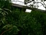 Profile picture of biibiia