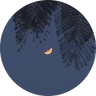 Profile picture of Pikt