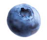 Profile picture of isobel